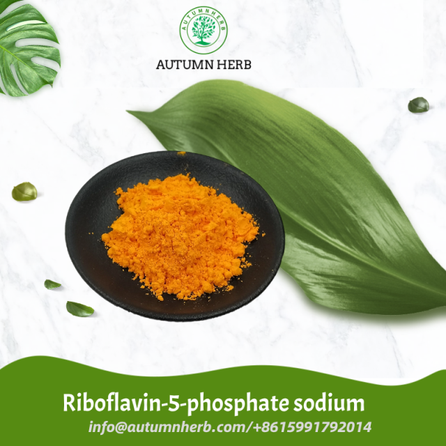 Best Price Riboflavin-5-phosphate sodium