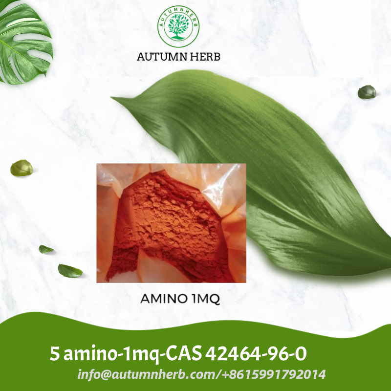 5-Amino-1MQ For Fat Loss NNMTi