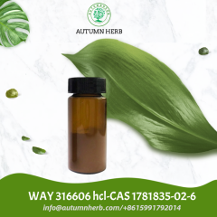 WAY 316606 hydrochloride | sFRP-1 Inhibitor CAS 1781835-02-6