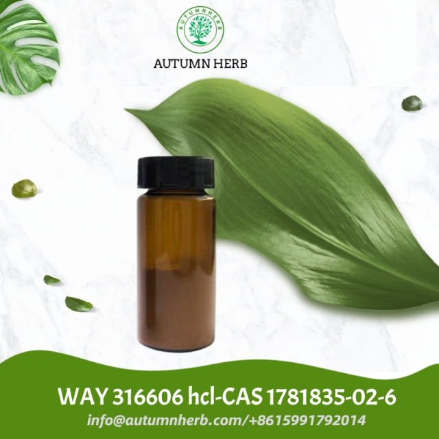 WAY 316606 hydrochloride | sFRP-1 Inhibitor CAS 1781835-02-6