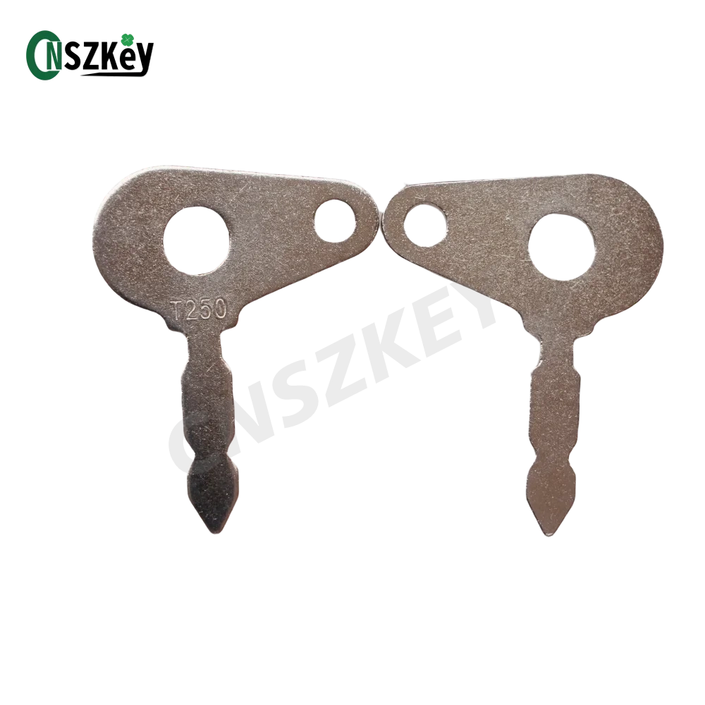 CNSZKEY 10Pcs/Lot For Ford Ignition Key  T250
