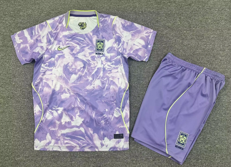 2026/27  South Korea Away Football Kit