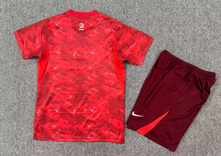 2026-27 Poland Away Football Kit