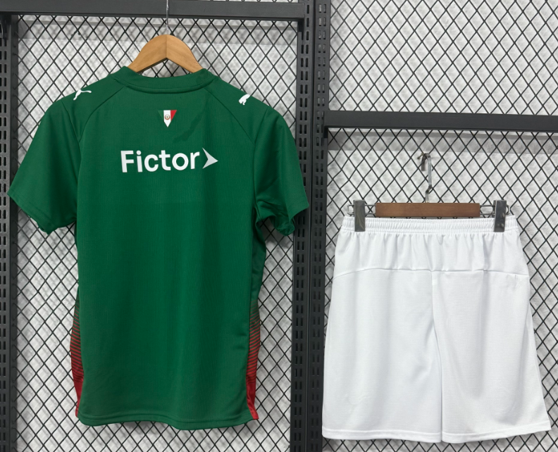 2026-27 Palmeiras Home  Football Kit