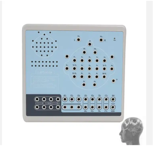 Electroencephalograph Machine