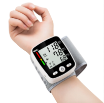 Electric blood pressure monitor