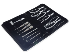 Dental Instrument Set