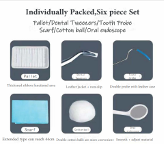 Disposable Dental Instrument Kit