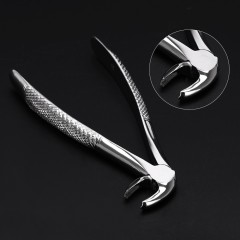 Dental Instrument Set