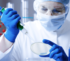 Disposable Examination Exam Nitrile Gloves