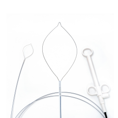 Disposable Polypectomy Snare