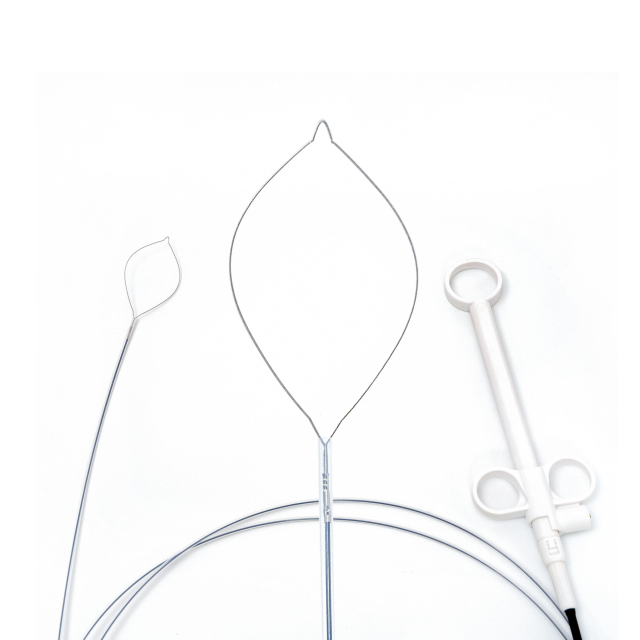 Disposable Polypectomy Snare