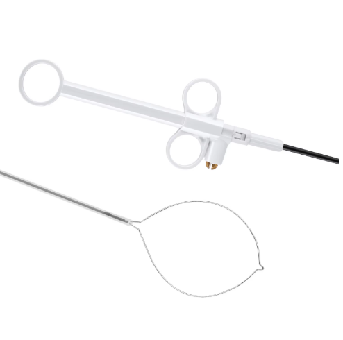Disposable Polypectomy Snare