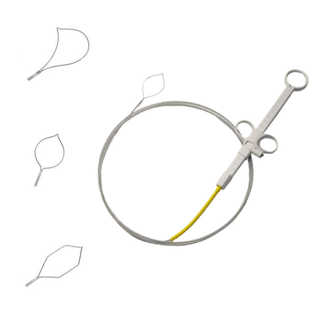 Disposable Polypectomy Snare