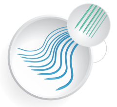 Urethral Dilator Set