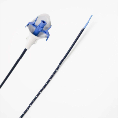 Ureteral Access Sheaths