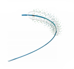 Drug-coated Balloon Dilatation Catheter