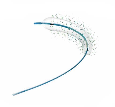 Drug-coated Balloon Dilatation Catheter