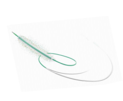 Drug-coated Balloon Dilatation Catheter