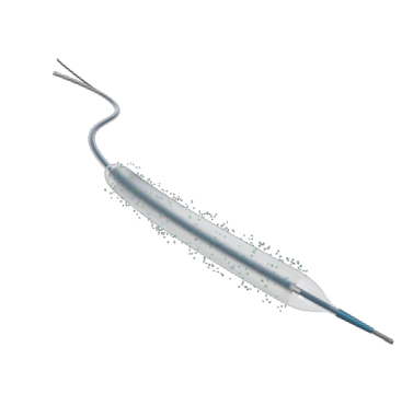 Drug-coated Balloon Dilatation Catheter