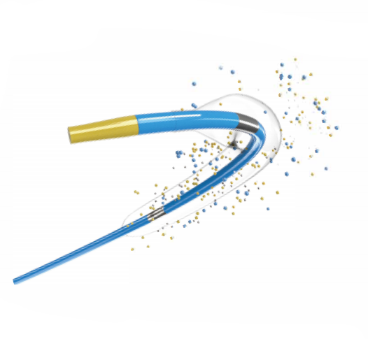 Drug-coated Balloon Dilatation Catheter