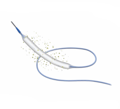 Drug-coated Balloon Dilatation Catheter