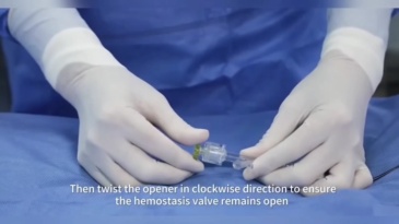 Hemostasis Valve Set
