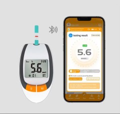 Blood Glucose Monitoring System