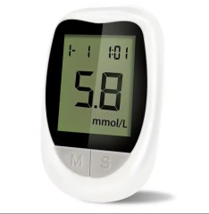 Blood Glucose Monitoring System