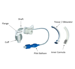 Tracheostomy Tube