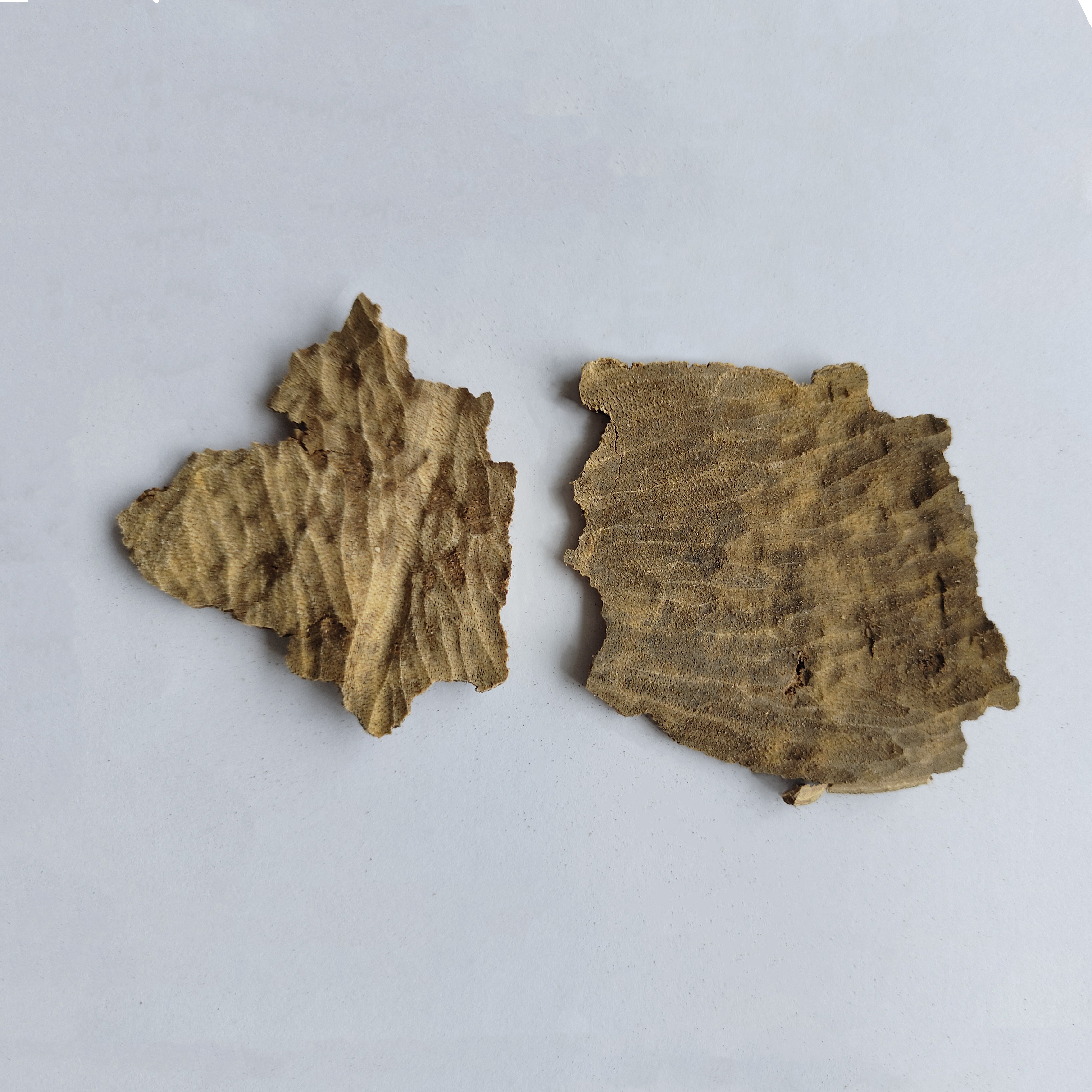 Premium Quality Pure Agarwood Chips Bakhoor Chips Scented chips