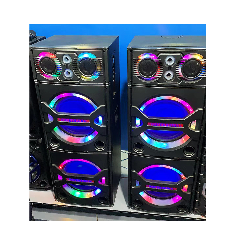Dual 12" Passive DJ Speaker Pair