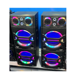 Dual 12" Passive DJ Speaker Pair