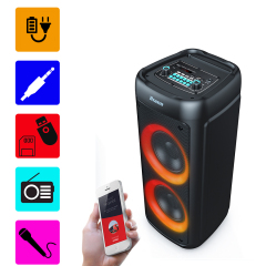 Professional audio equipment wireless karaoke speaker with mic and bluetooth