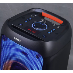 Double 8 inch 10 inch portable mobile 40W 60W RGB light Hi-fi sound system professional sound box