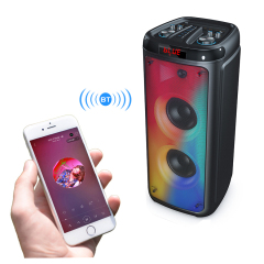 Longwind portable outdoor party dj karaoke speaker pa system with wheels