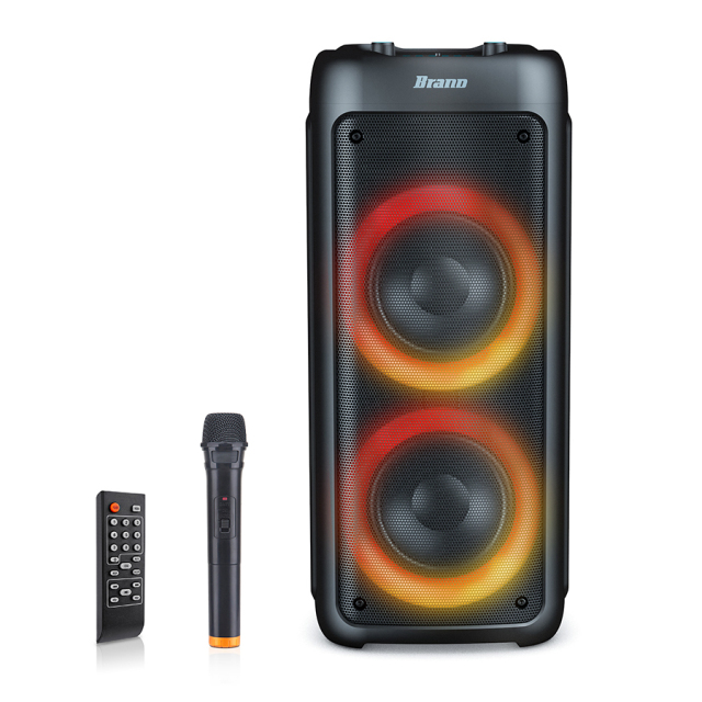 Professional audio equipment wireless karaoke speaker with mic and bluetooth