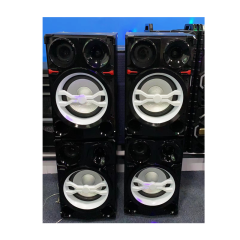 Dual 12" Passive DJ Speaker Pair