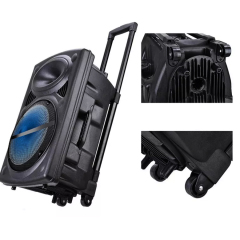 Bluetooth wireless 12 inch usb trolley speaker with wheels
