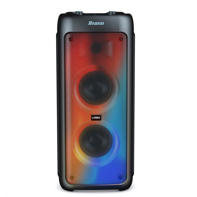 Professional audio equipment wireless karaoke speaker with mic and bluetooth