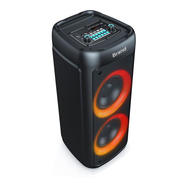 Professional audio equipment wireless karaoke speaker with mic and bluetooth
