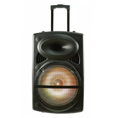 Bluetooth wireless 12 inch usb trolley speaker with wheels