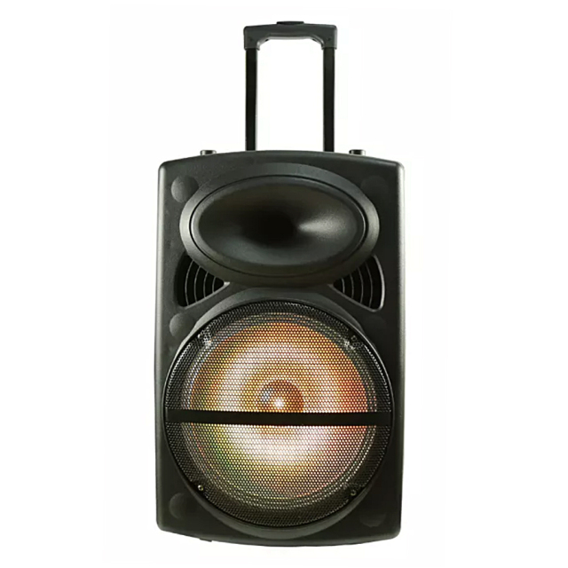 Bluetooth wireless 12 inch usb trolley speaker with wheels
