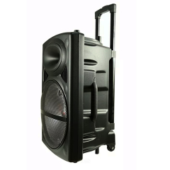Bluetooth wireless 12 inch usb trolley speaker with wheels