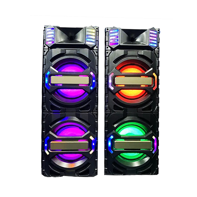 Dual 12" Passive DJ Speaker Pair