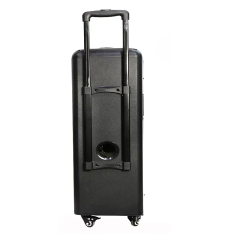 Dual 8 inch 10 inch wooden trolley dj music system speaker