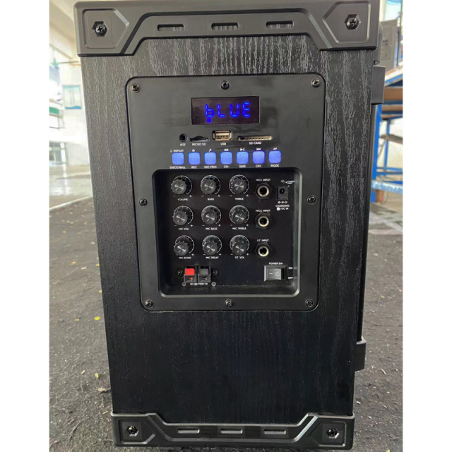 Portable 8 inch outdoor wireless speaker box with disco ball