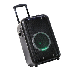 Single 8 inch 10 inch wooden trolley private mold bluetooth speaker