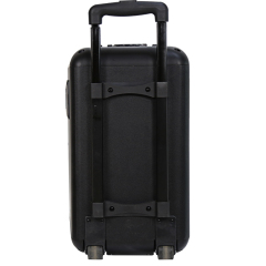 Single 8 inch 10 inch wooden trolley private mold bluetooth speaker