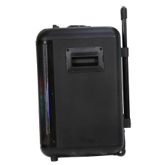 Single 8 inch 10 inch wooden trolley private mold bluetooth speaker